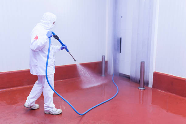 Professional Pressure Washing Services in Linden, AL