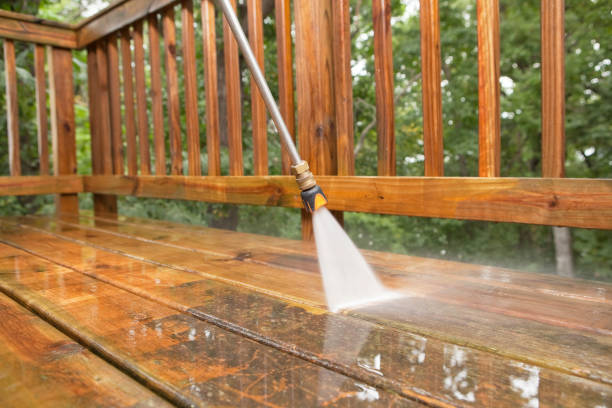 Best Sidewalk and Walkway Cleaning  in Linden, AL